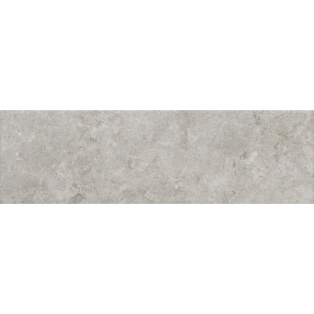 Плитка 9048 Борго серый светлый матовый 8,5x28,5