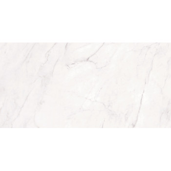 Керамогранит Nikea Natural Rect 80x160