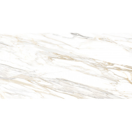 GT193VG Настенная плита Surprise_GT Бел. 30x60 _ 1\58,32