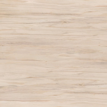 Керамогранит C-BN4R112D Botanica коричневый 42x42