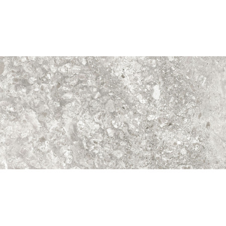 Керамогранит Lunar Grey Light/Лунар Светло-серый MR 120x60