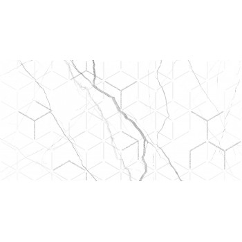 GT124VG Декор кер. Siluet GT Бел. 50*25 _ 1 \7