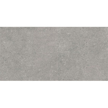 Керамогранит K945778R0001VTE0 Newcon Серебристо-серый 60x120