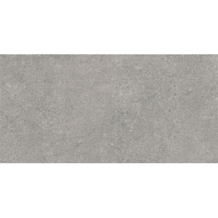Керамогранит K945778R0001VTE0 Newcon Серебристо-серый 60x120