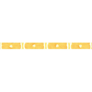 Плитка AC269/15000 Салерно Лимоны 40х3