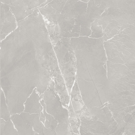 10GCRGCL0064 Керамогранит Carolina_GT Серый 60x60 _ 1\43,2