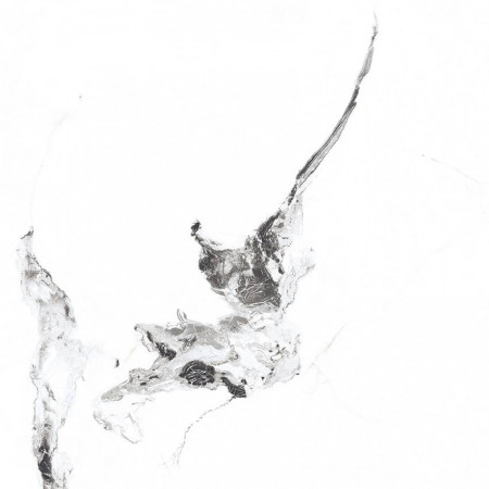 Керамогранит SR104 Videl Bianco sugar 600x600x9