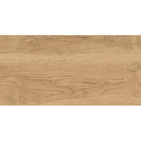 GT220VG Керамогранит Florida_GT Беж. 30x60  1\58,32