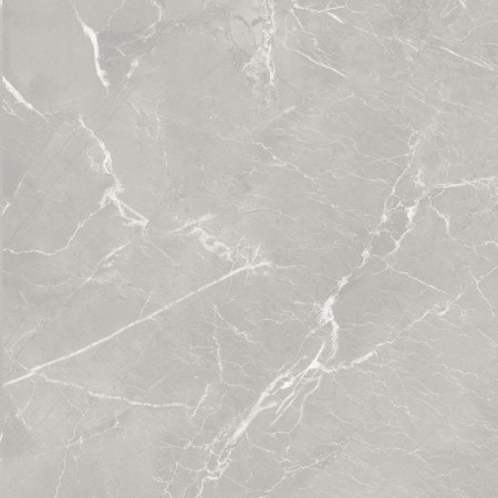 10GCRGCL0064 Керамогранит Carolina_GT Серый 60x60 _ 1\43,2