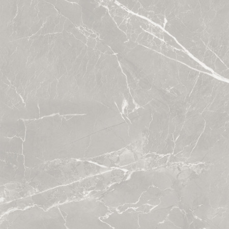 10GCRGCL0064 Керамогранит Carolina_GT Серый 60x60 _ 1\43,2