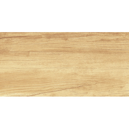 Плитка WT9OAS31 Paradise Wood 250*500*9