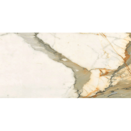 Керамогранит 60120CBO55P Calacatta Borghini 60x120