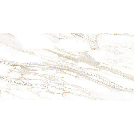 GT193VG Настенная плита Surprise_GT Бел. 30x60 _ 1\58,32