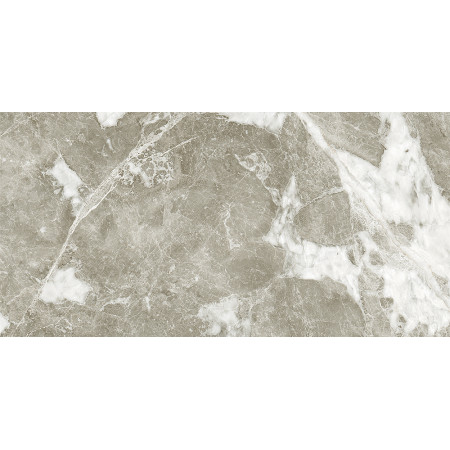 GT210VG Настенная плита Action_GT Сер. 30x60 _ 1\58,32