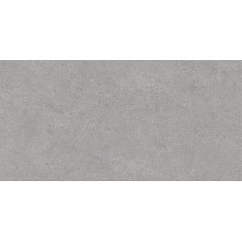 Керамогранит DL500820R Фондамента серый светлый обрезной 60х119,5