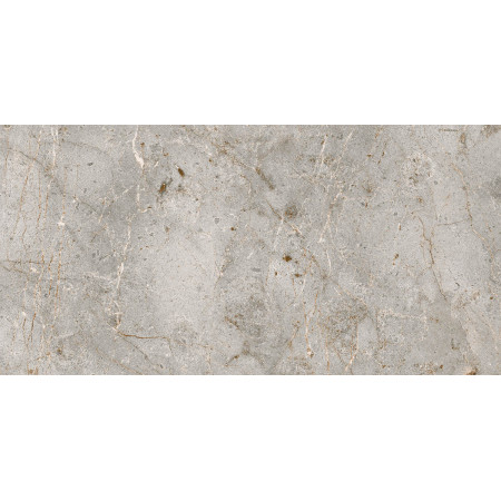 Керамогранит Bardiglio Classic / Бардильо классик LLR 120x60