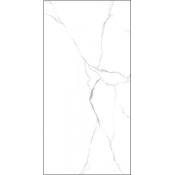 GT120600203MR Плитка грес глаз. Marmo_GT Белый 60*120 _ 1 \43,2