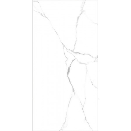 GT120600203MR Плитка грес глаз. Marmo_GT Белый 60*120 _ 1 \43,2