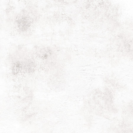 Керамогранит Teona Blanco GP6TEN00 41*41