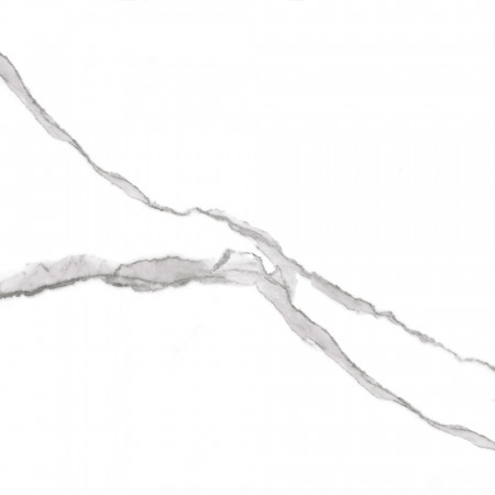 GT60601503PR Керамогранит Anima_GT Бел. 60x60 полир._ 1\48,96