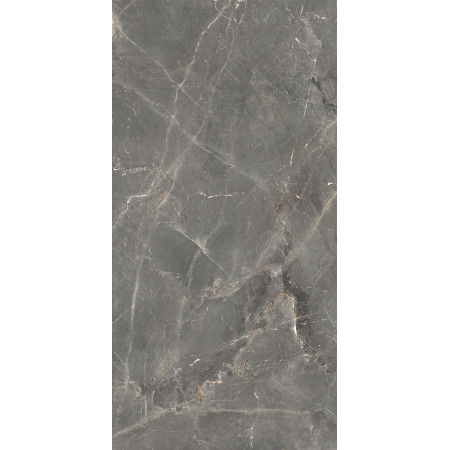 GT1206012109SPR Керамогранит Tulip_GT Темно-сер. 60x120 _ 1\46,08