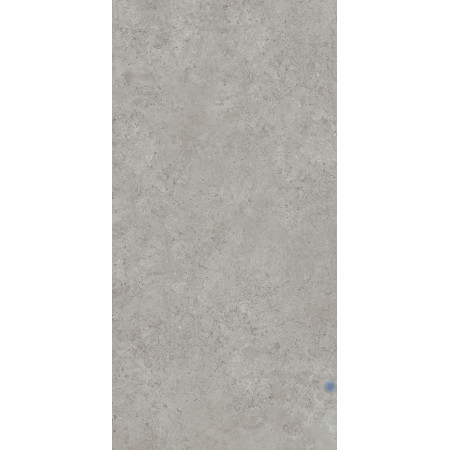 Керамогранит DD590600R Про Лаймстоун АТ серый натуральный обрезной R10 119,5х238,5