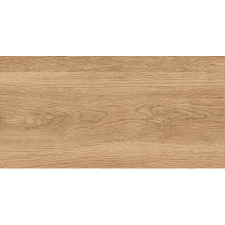 GT220VG Керамогранит Florida_GT Беж. 30x60  1\58,32