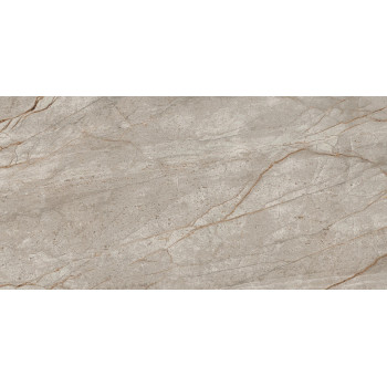 Керамогранит 610010002187 Empire Silver Root 60x120