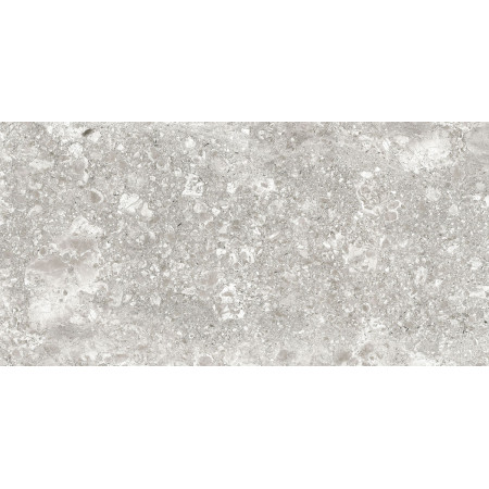 Керамогранит Lunar Grey Light/Лунар Светло-серый MR 120x60