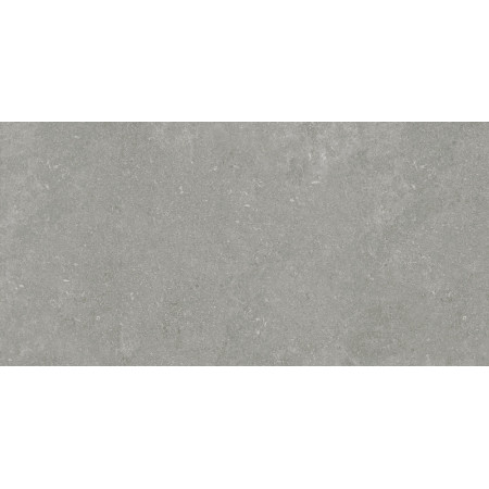 Керамогранит Granite Gloria Gray / Граните Глория Серый ASR 120x60