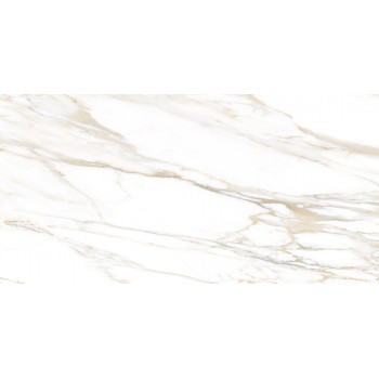 GT193VG Настенная плита Surprise_GT Бел. 30x60 _ 1\58,32