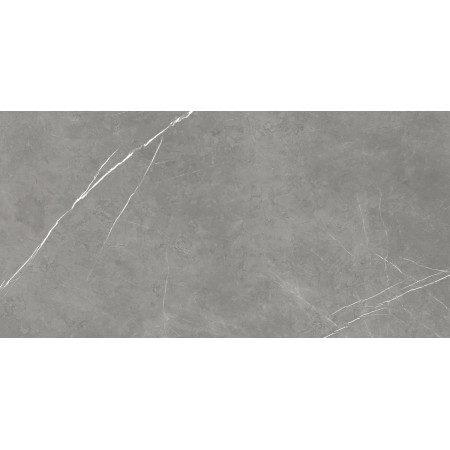 Керамогранит 610015000665 Forte dei Marmi Elegant Grey Lapp 80x160