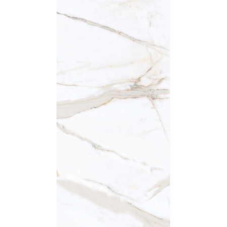 Керамогранит PR203 Regal Carara Polished 600x1200