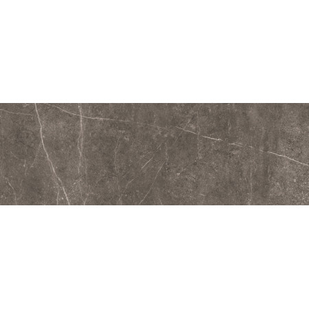 Плитка Shetland Dark Rectificado 33.3х100