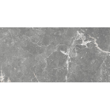 GT99VG Плитка облиц. Capella GT Сер. 50*25 _ 1 \74,25