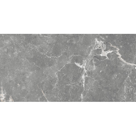 GT99VG Плитка облиц. Capella GT Сер. 50*25 _ 1 \74,25