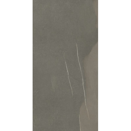 Керамогранит 610010002345 Metropolis Arcadia Brown Nat Rett 80x160