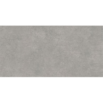 Керамогранит K945778R0001VTE0 Newcon Серебристо-серый 60x120