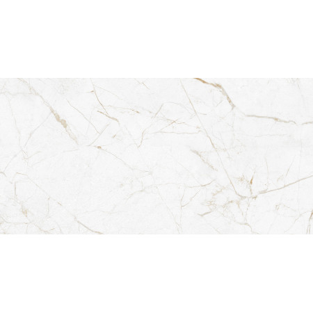 GT226VG Керамогранит Antares_GT Бел. 30x60  1\58,32