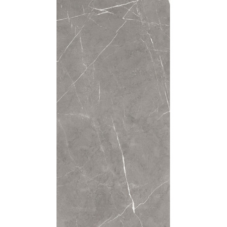 GT120603001MCR Плитка грес глаз. Encanto_GT Серый 60*120 карвинг_ 1 \43,2