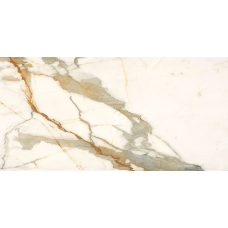 Керамогранит 60120CBO55P Calacatta Borghini 60x120