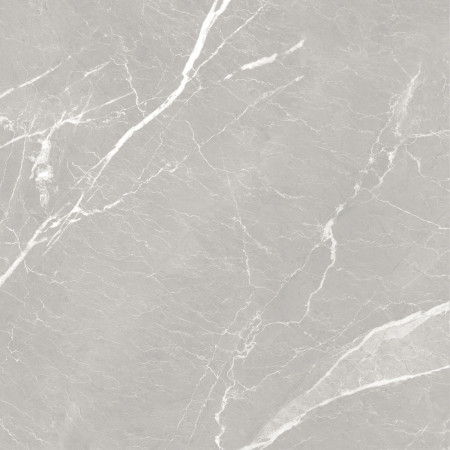 10GCRGCL0064 Керамогранит Carolina_GT Серый 60x60 _ 1\43,2