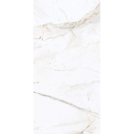 Керамогранит PR203 Regal Carara Polished 600x1200