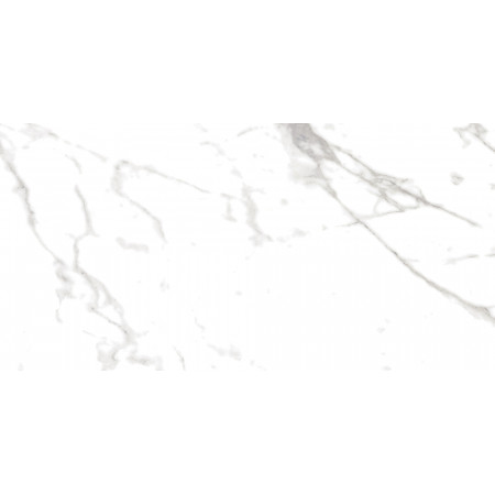 Плитка 16796 Marmo Белый 59,8*29,8