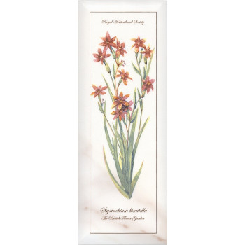 Плитка NT/A88/15005 Ноттингем Цветы грань 15*40