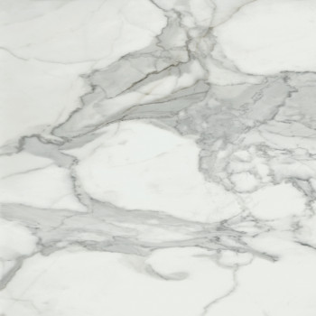 Керамогранит Invictus Natural 120x120