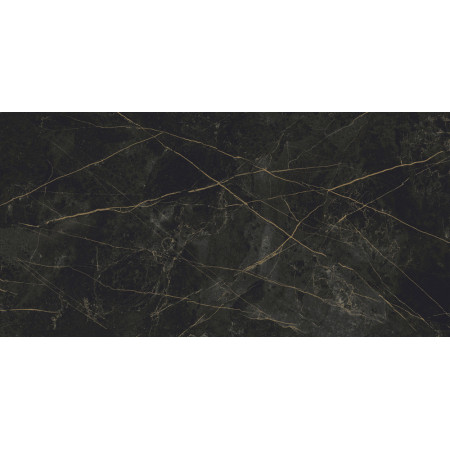 Керамогранит Granite SANDRA Black Olive / Гранит Сандра черно-оливковый LLR 120x60