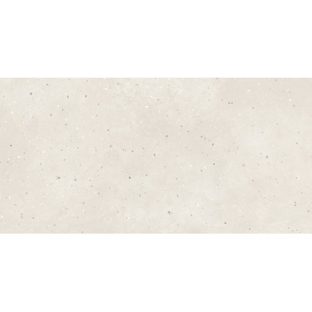Керамогранит G-41 MR 60х120