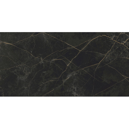 Керамогранит Granite SANDRA Black Olive / Гранит Сандра черно-оливковый LLR 120x60