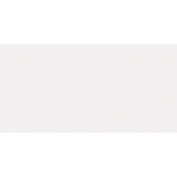 Плитка TWU09BER00R Berri 24,3х49,4